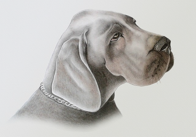 Water-soluble color lead picture detail and technique